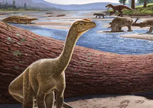 illustration of Mbiresaurus raathi
