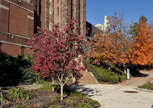 Red and orange trees outside McCarter Theater.