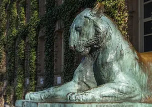 One of the bronze tiger statues that flank the front steps of Nassau Hall; ivy covers the walls in the background.