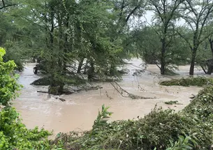Trees surround the Guadalupe River overflowing with brown water. 