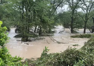 Trees surround the Guadalupe River overflowing with brown water. 