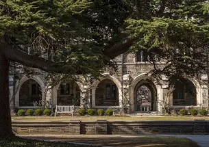 A series of stone arches with a pine tree in front.
