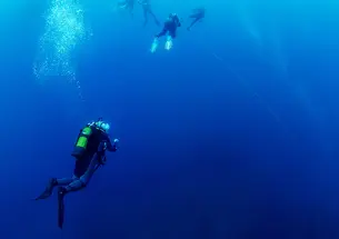 Group of scuba divers rising