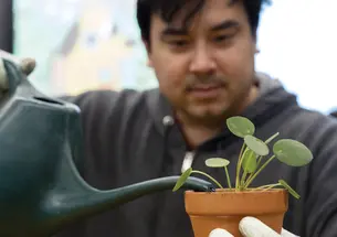 Princeton Departments Feel the Squeeze From Budget Cuts Princeton Departments Feel the Squeeze From Budget Cuts