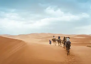 Blue skies above sandy desert dunes and in the distance a group on camels can be seen.