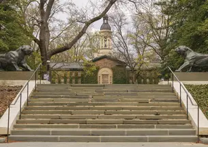 Two Tiger statues sit at the top of staircase on campus with Nassau Hall in the background