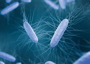Clostridioides difficile