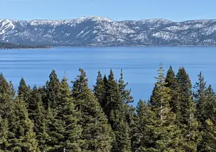Pine trees in the foreground look out to a snowy mountain and Lake Tahoe in the background.