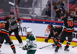 Hockey players celebrate a goal with arms raised
