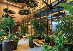 OTC_Frist Health Center.jpg A wood paneled room filled with plants and wicker chairs at Frist Health Center.