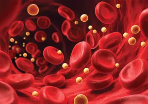 Illustration of cholesterol and red blood cells flowing through an artery
