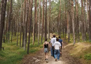 students in the Baltic coastal pine forest