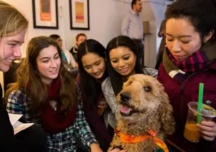 Five students cluster around a therapy labradoodle, who's wearing an orange bandana and looking at the camera.