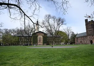 The back of Nassau Hall and one side of East Pyne, seen over Cannon Green.