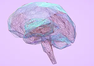 Line drawing styled graphic of a brain