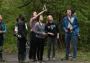 Seven students and one professor are in the woods, looking up into the trees. Several hold binoculars and cameras.
