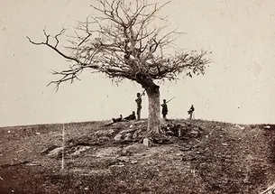 A Lone Grave on the Battlefield of Antietam: A tree marks a soldier’s burial place.