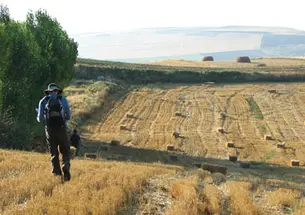 Graduate student Mark de Groh looks for artifacts near Beyözü, a village in central Turkey.