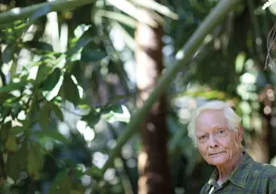 W.S. Merwin ’48 in the Maui palm forest that he created and has tended for more than 30 years.