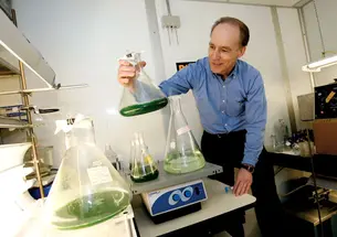 Professor Charles Dismukes examines bacteria and algae that could produce green fuels or fuel precursors.