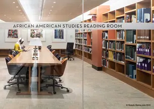 Library-AfricanAmerican.jpg