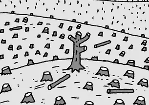 Mind-ShortDeforestationB.jpg