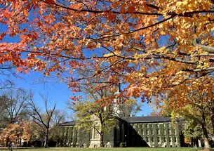 The back of Nassau Hall with tree branches with fall leaves in the foreground.