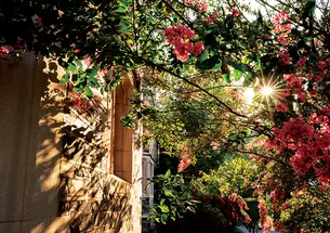 Sunrise at Rockefeller College