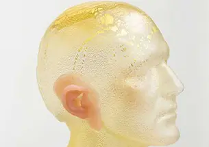 Photo of Martha Friedman’s “Bust 4, from Mummy Wheat”