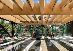 Exposed mass timber beams
