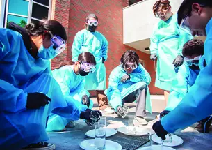 Students learning an outdoor science lesson