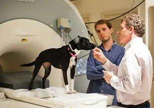 Gregory Berns ’86, right, a professor at Emory University, with his dog, Callie, who was trained to sit in an MRI scanner, and postdoctoral fellow Andrew Brooks.