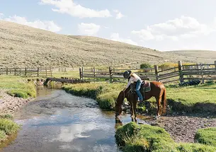 Caroline Nelson ’14