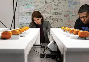 Yasaman Ghasempour, left, and graduate student Atsutse Kludze in the lab 