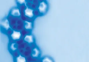 Cobalt and Iron structures