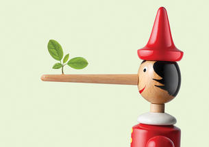 Pinnochio doll