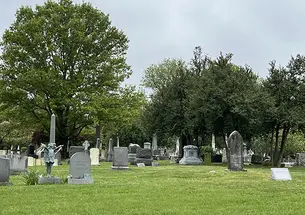 A cemetery with trees in the background.