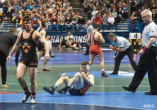 SP-WrestlingNew.jpg