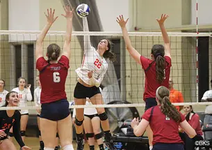 SP-Wvolley169new.jpg