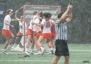 SP-wlax537new.jpg