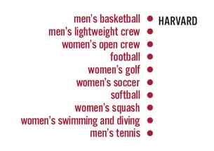 Sports_Tiger_Dominance.jpg