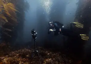 Mark Davidson *08 scuba diving and filming using the Insta360 Pro 2 and Mantis Sub underwater housing.