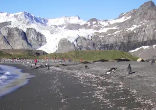 i-6bf65ede08f092c0d69ddd161d40991d-south georgia 214.jpg