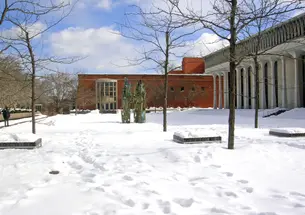 i-9ff49b9f53128555dca4630661264811-wws_snow.jpg