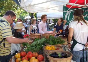 i-b972c438c4f0f99c0b2e3e7930f7bfe0-market.jpg