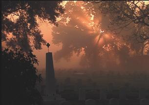 i-e71db9053ac5baf253a2882135a4f0b9-Carville Graveyard.jpg