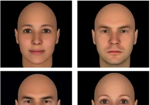 Todorov has found that faces with more feminine features (top left) are perceived as more trustworthy, while faces seen as untrustworthy tend to have more masculine features (top right). Faces with more mature features (bottom left) are perceived as more