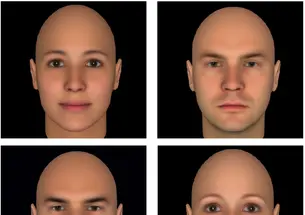 mind-faces.jpg Todorov has found that faces with more feminine features (top left) are perceived as more trustworthy, while faces seen as untrustworthy tend to have more masculine features (top right). Faces with more mature features (bottom left) are perceived as more
