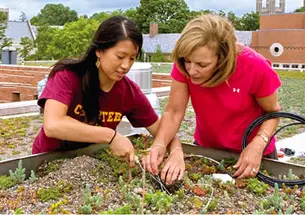 Jessica Hsu ’10 (left) and Eileen Zerba, director of undergraduate laboratories in the Princeton Environmental Institute, at work on one of Butler College’s green roofs.