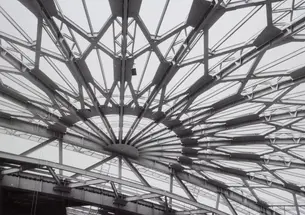 The geodesic roof at Jadwin Gymnasium is one of the building’s signature features. In this construction photo from the late 1960s, Alan Richards showcases the infrastructure that makes the distinctive pattern possible.